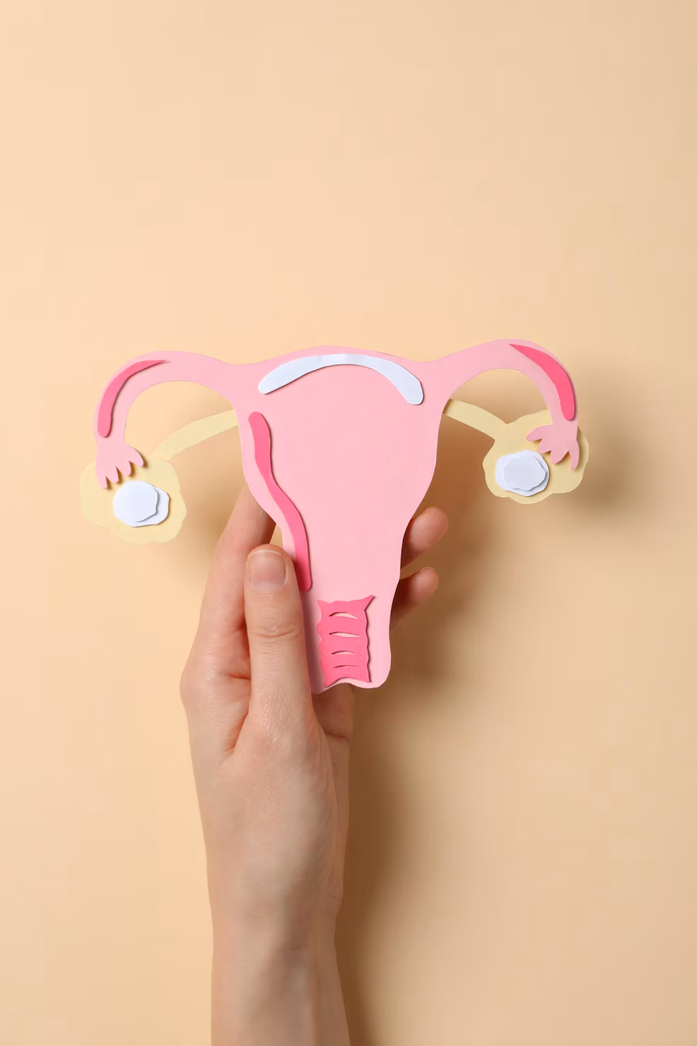 Gynecology Hospitals